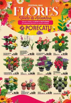 Catálogo Supermercado Porecatu (válido até 2-11)