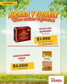 Catálogo Super Ganga Página 5