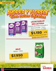 Catálogo Super Ganga Página 6