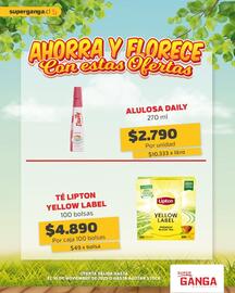 Catálogo Super Ganga Página 8