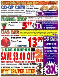 Co-op Atlantic flyer week 43 Page 3