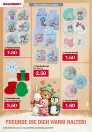 Woolworth Prospekt Seite 17