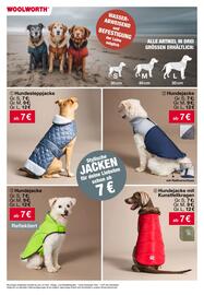 Woolworth Prospekt Seite 22