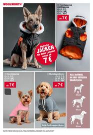 Woolworth Prospekt Seite 23