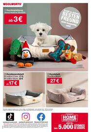 Woolworth Prospekt Seite 24