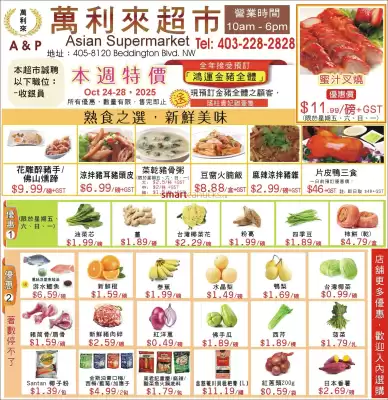 flyer-cover