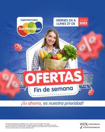Catálogo Surtifamiliar Página 1