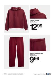 Zeeman folder Pagina 13