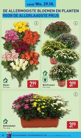 ALDI folder week 44 Pagina 33