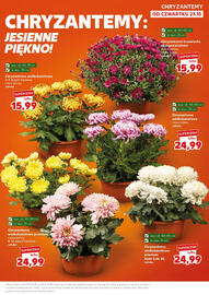 Kaufland gazetka Strona 9