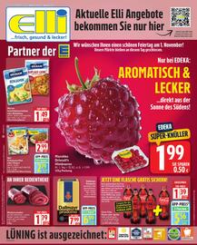 Elli Markt Prospekt woche 44 Seite 1