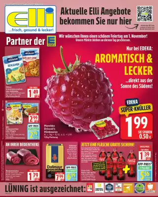 Elli Markt Prospekt (gültig bis 1-11)