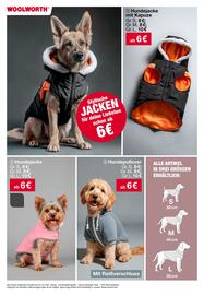 Woolworth Prospekt Seite 24