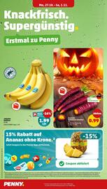 PENNY Prospekt woche 44 Seite 4