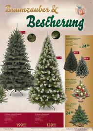 Selgros Prospekt Seite 19