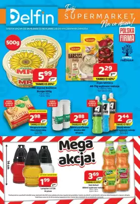 Delfin gazetka (ważność do 2-11)