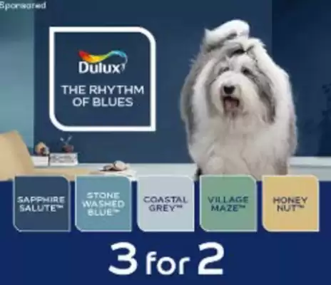 B&Q brochure (valid until 30-10)