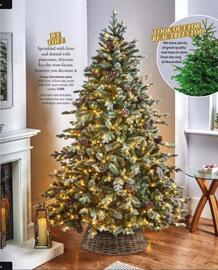 Squires Garden Centres leaflet Page 23