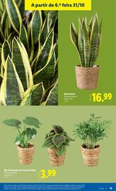 Folheto Lidl semana 44 Página 19