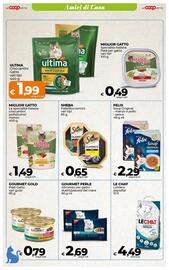 Volantino Ipercoop Pagina 51