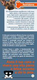 Volantino Famila Superstore Pagina 4