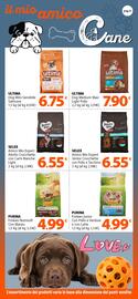 Volantino Famila Superstore Pagina 8