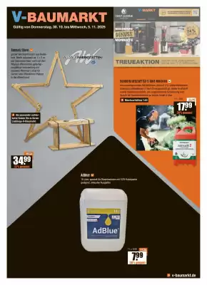 V Baumarkt Prospekt (gültig bis 6-11)
