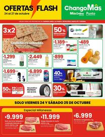 Catálogo Changomas Página 1