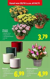 Lidl folder week 44 Pagina 32