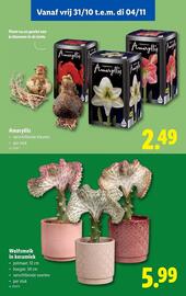 Lidl folder week 44 Pagina 55