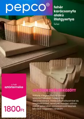 Pepco akciós újság (érvényes eddig: 29-10)