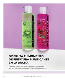 Catálogo Cristian Lay Página 40