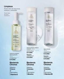 Catálogo Natura Página 101