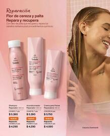 Catálogo Natura Página 142