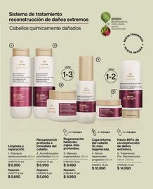 Catálogo Natura Página 152