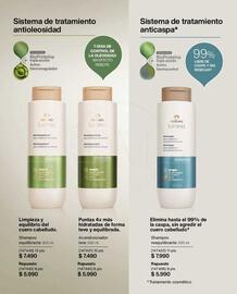 Catálogo Natura Página 153