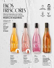 Catálogo Natura Página 43