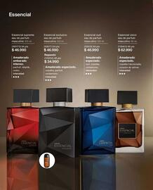 Catálogo Natura Página 51