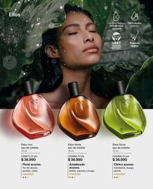 Catálogo Natura Página 55