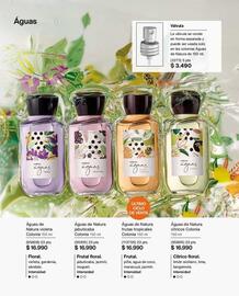 Catálogo Natura Página 63