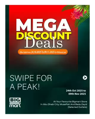 Bigmart leaflet (valid until 9-11)