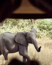 Porsche catalogue Page 5