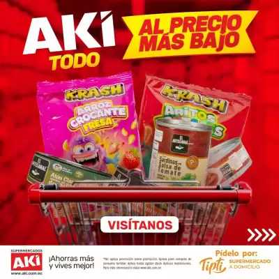 Catálogo Akí (válido hasta 2-11)