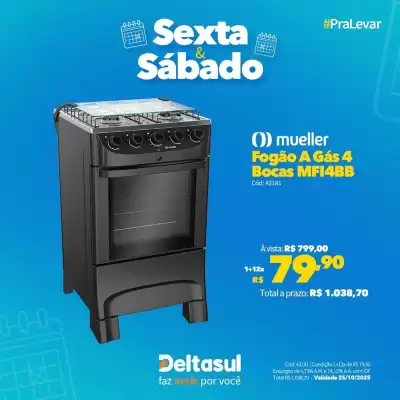 Folheto Deltasul (válido até 25-10)