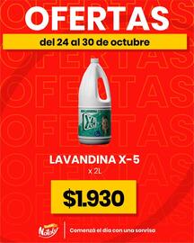 Catálogo Super Nataly semana 43 Página 4