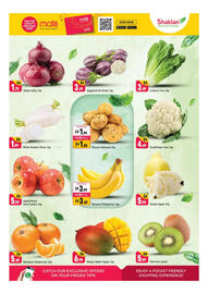 Shaklan leaflet Page 2
