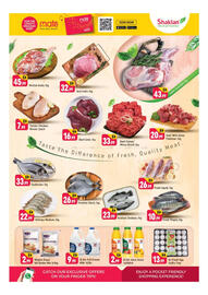 Shaklan leaflet Page 3