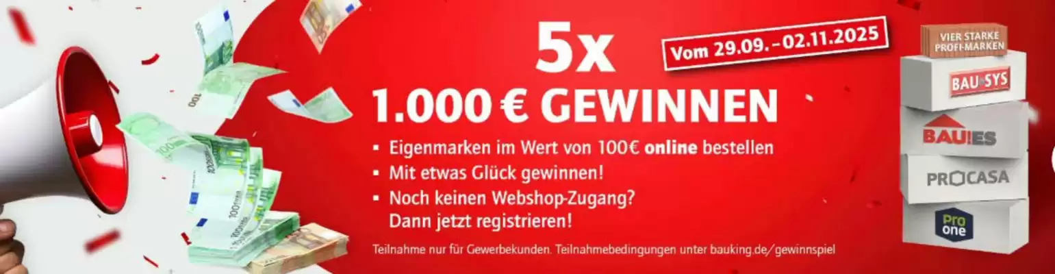 Bauking Katalog (gültig bis 2-11)