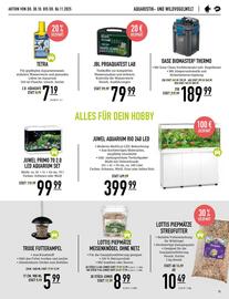 Kölle Zoo Prospekt Seite 15