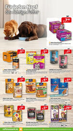 Raiffeisen Markt Prospekt Seite 7